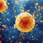 Origin of Swine Flu – A Short History of the Disease