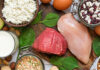 5 Daily Food Protein Sources to Adopt